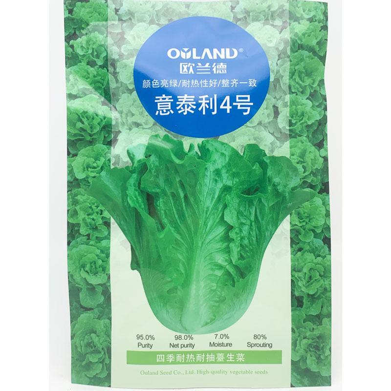 意泰利4号生菜种子四季耐热耐抽苔生菜种子20克原装发货