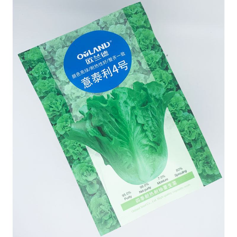 意泰利4号生菜种子四季耐热耐抽苔生菜种子20克原装发货