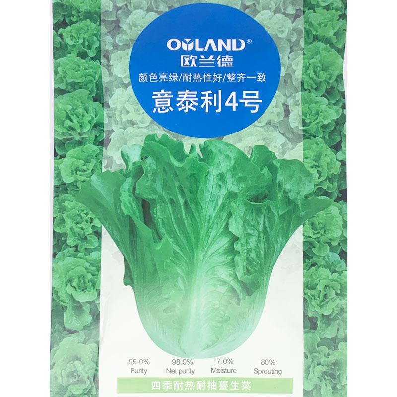 意泰利4号生菜种子四季耐热耐抽苔生菜种子20克原装发货