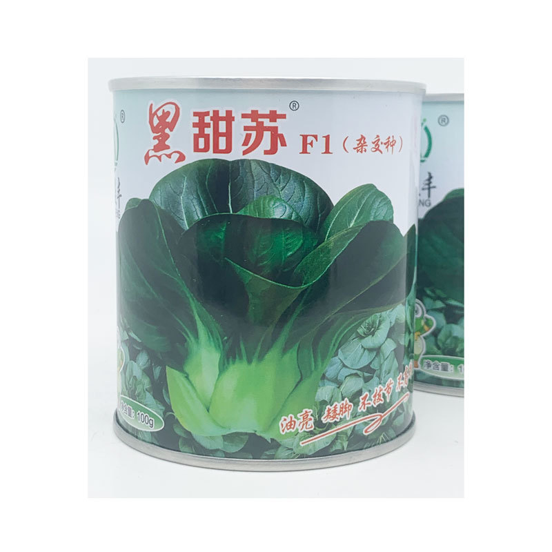 黑甜苏太湖菜苏州青种子耐寒矮脚苏州青种原装发货