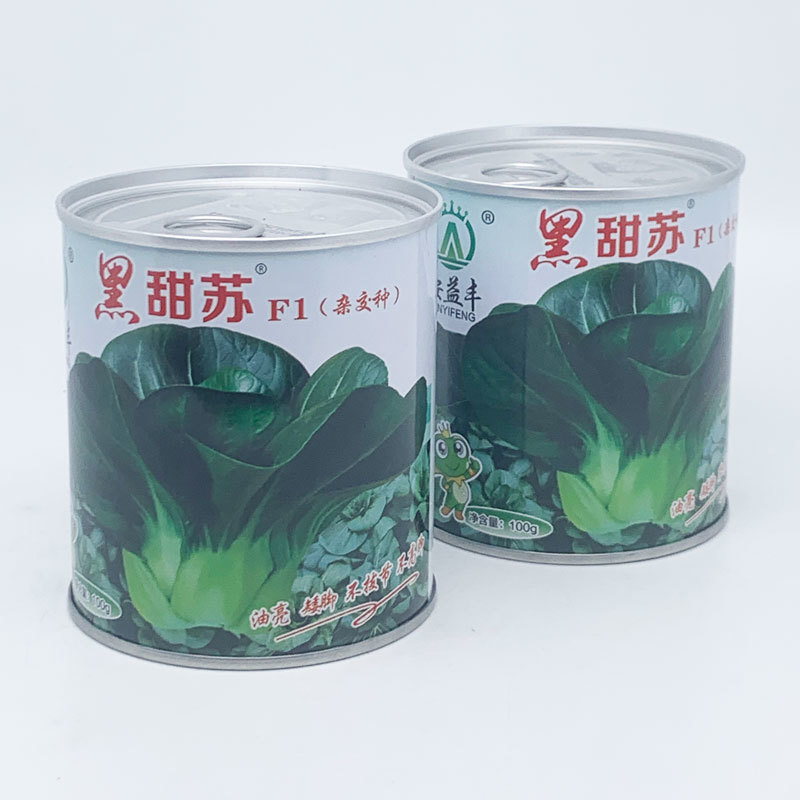 黑甜苏太湖菜苏州青种子耐寒矮脚苏州青种原装发货