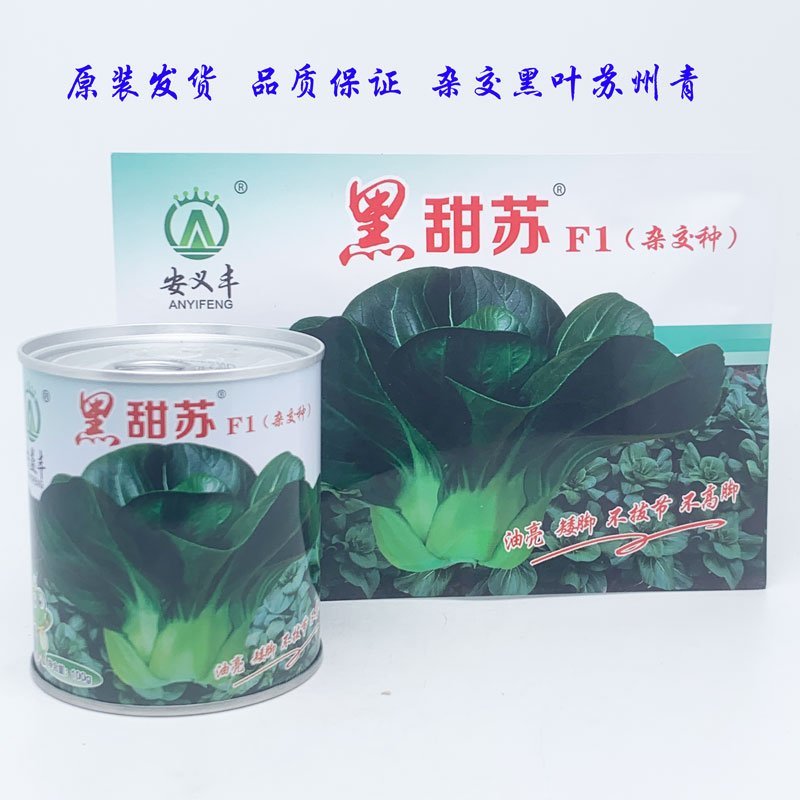 黑甜苏太湖菜苏州青种子耐寒矮脚苏州青种原装发货