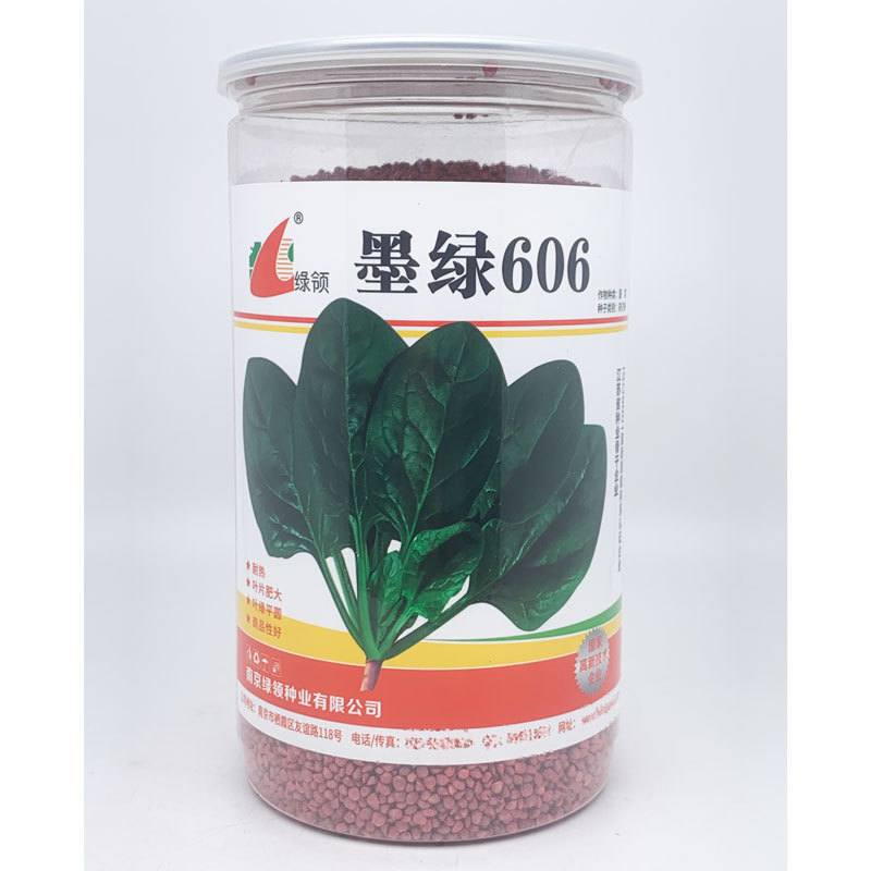 墨绿606耐热菠菜种子耐热黑圆叶红根抗病菠菜籽600克