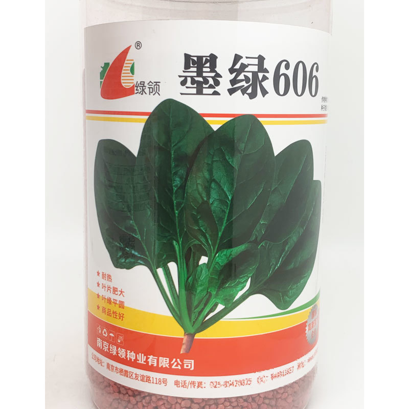 墨绿606耐热菠菜种子耐热黑圆叶红根抗病菠菜籽600克
