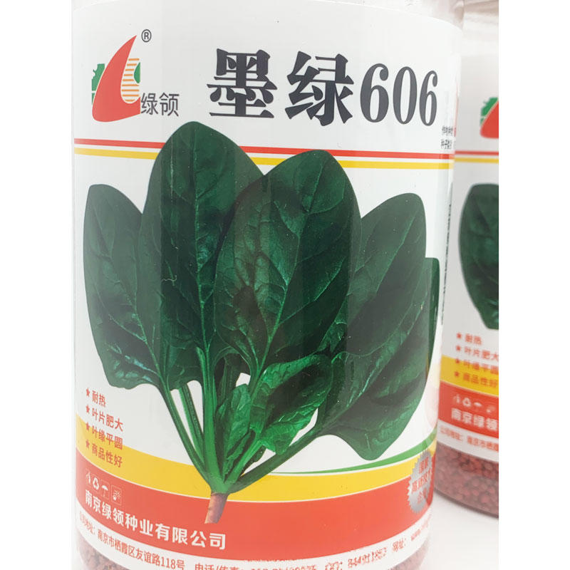 墨绿606耐热菠菜种子耐热黑圆叶红根抗病菠菜籽600克