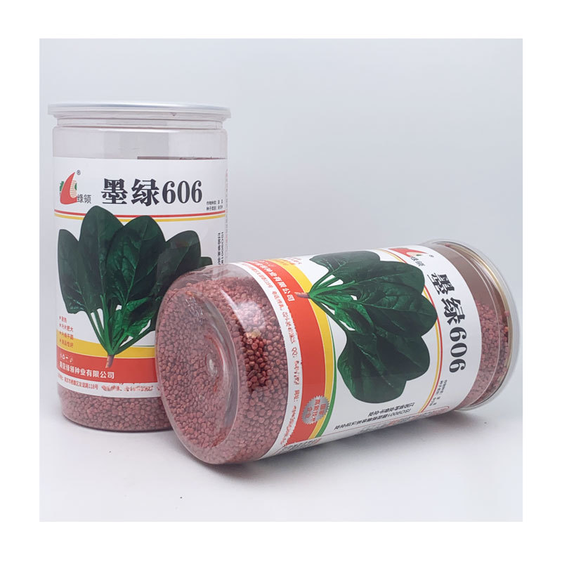 墨绿606耐热菠菜种子耐热黑圆叶红根抗病菠菜籽600克