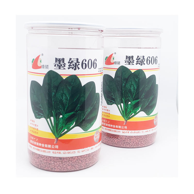 墨绿606耐热菠菜种子耐热黑圆叶红根抗病菠菜籽600克
