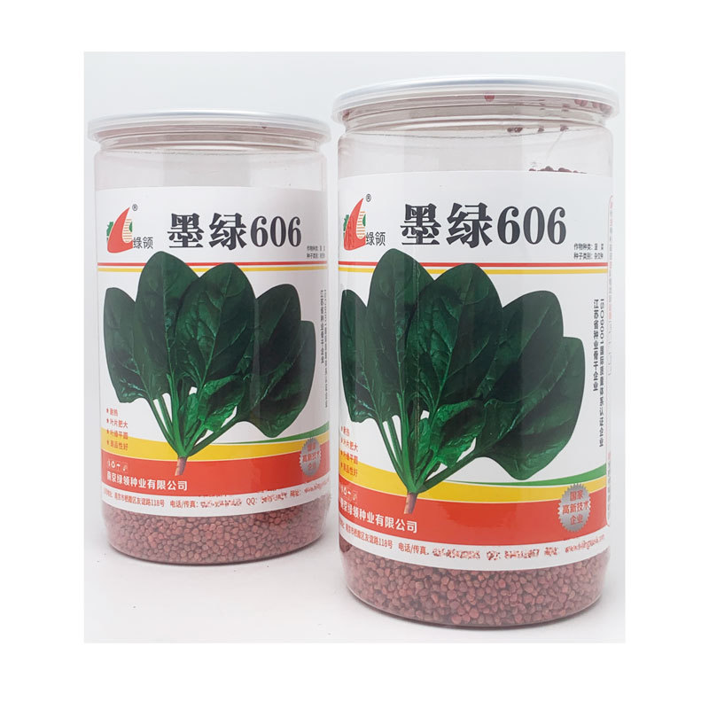 墨绿606耐热菠菜种子耐热黑圆叶红根抗病菠菜籽600克
