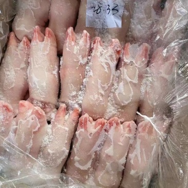 国产一级猪蹄28-33个，正常水分，货源充足，保证质量