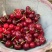车厘子🍒五月脆马上上市