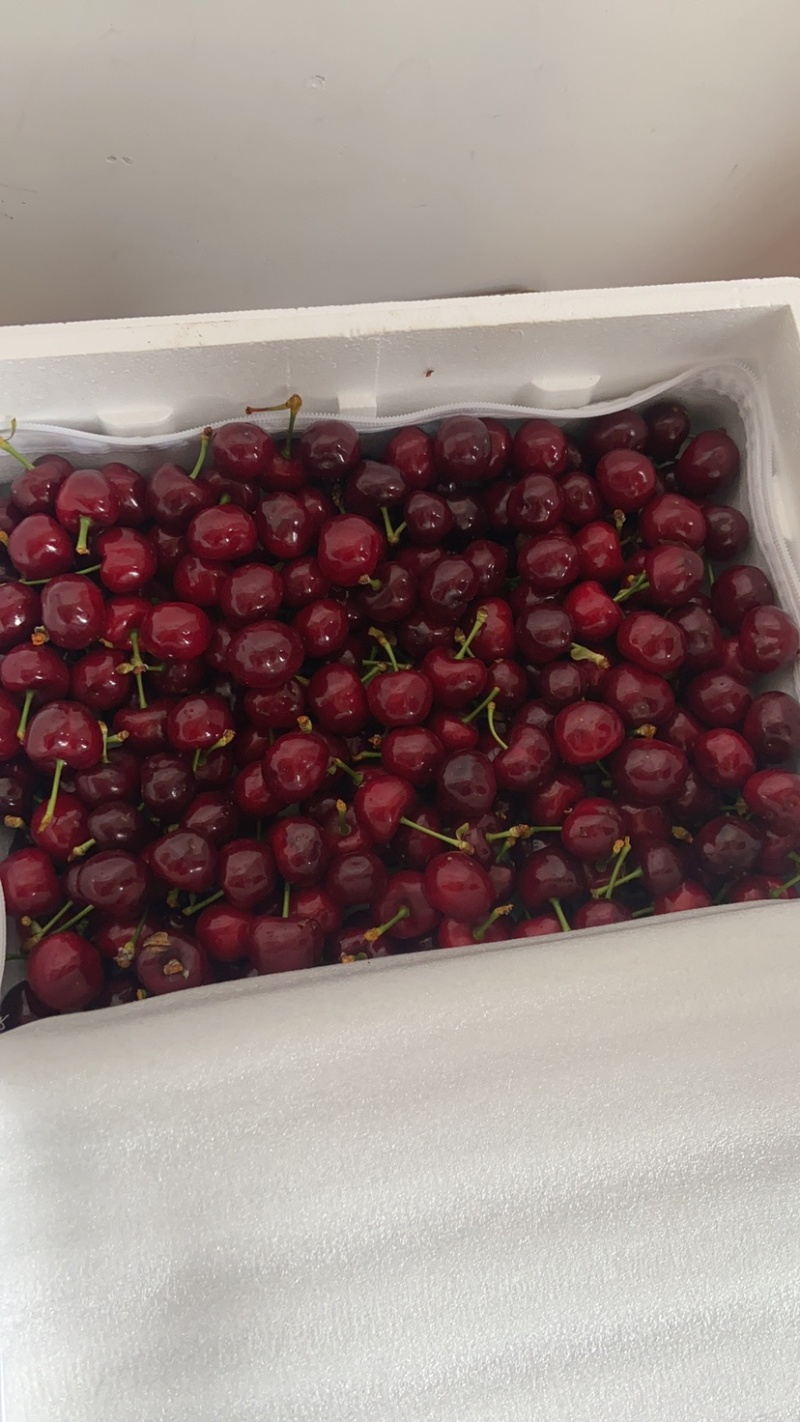 车厘子🍒五月脆马上上市