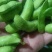 山东毛豆翠绿宝绿宝石24~30克需要的可以前来选购