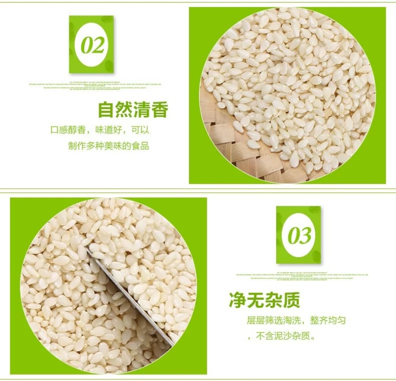 脱皮白芝麻烤牌生白芝麻去皮白芝麻现货供应