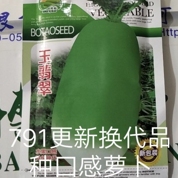 玉翡翠萝卜种子易管理膨果速度快水果囗感商品性好早熟一早值