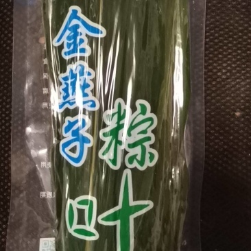 金燕子保鲜棕叶可常年供货保质保量量大从优