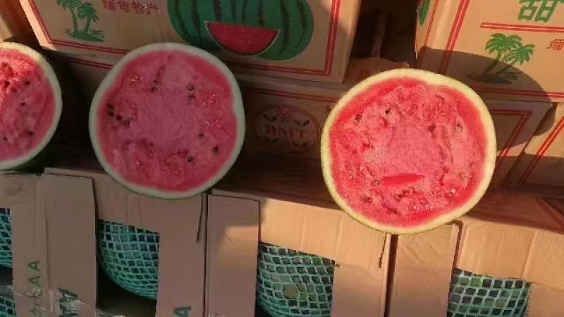 【实力商家】辽宁精品甜王西瓜代发全国品质保障薄皮