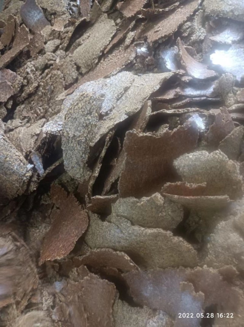 精品菜籽饼