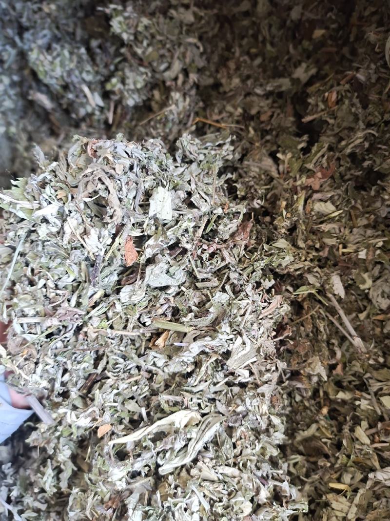 艾叶艾叶草新货艾叶去寒泡脚暖暖的地道中药材艾叶