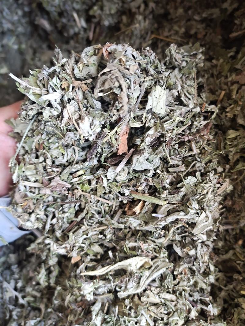 艾叶艾叶草新货艾叶去寒泡脚暖暖的地道中药材艾叶