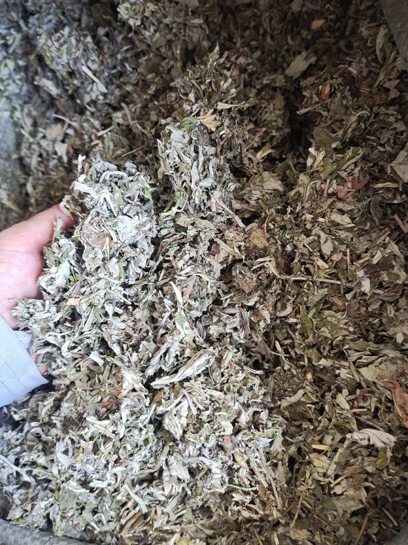艾叶艾叶草新货艾叶去寒泡脚暖暖的地道中药材艾叶