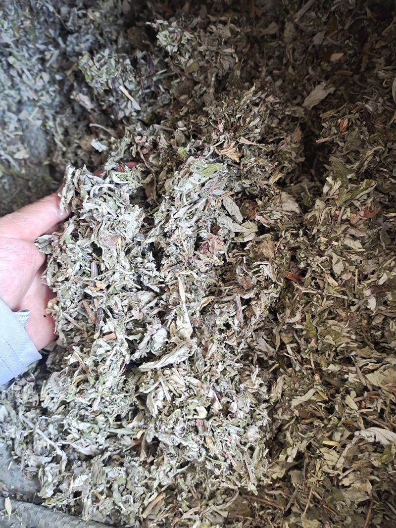 艾叶艾叶草新货艾叶去寒泡脚暖暖的地道中药材艾叶