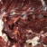 【放心食品】新鲜驴肉驴肉货源充足品质保证