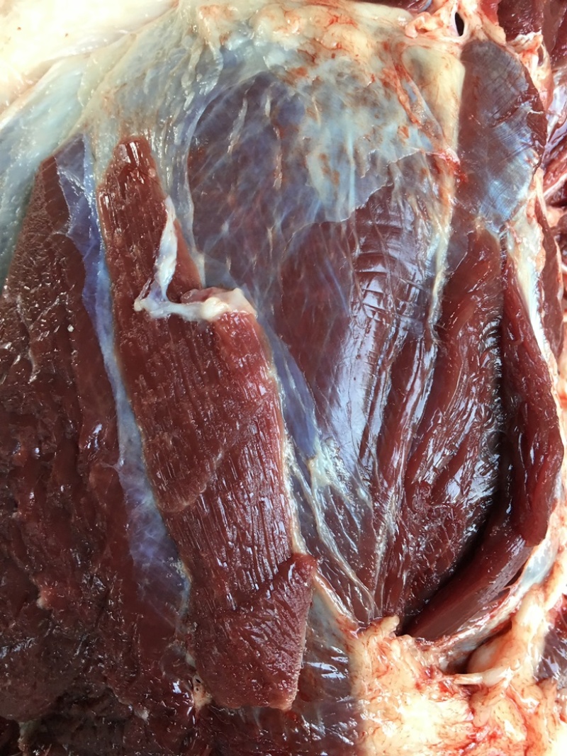 【放心食品】新鲜驴肉驴肉货源充足品质保证