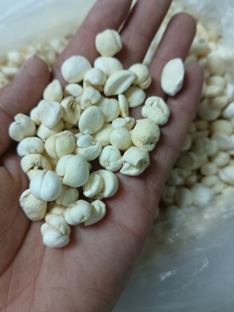 悬崖蜜加野生白芨和贝母粉