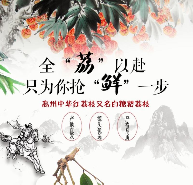 广东高州妃子笑荔枝广东省内包邮