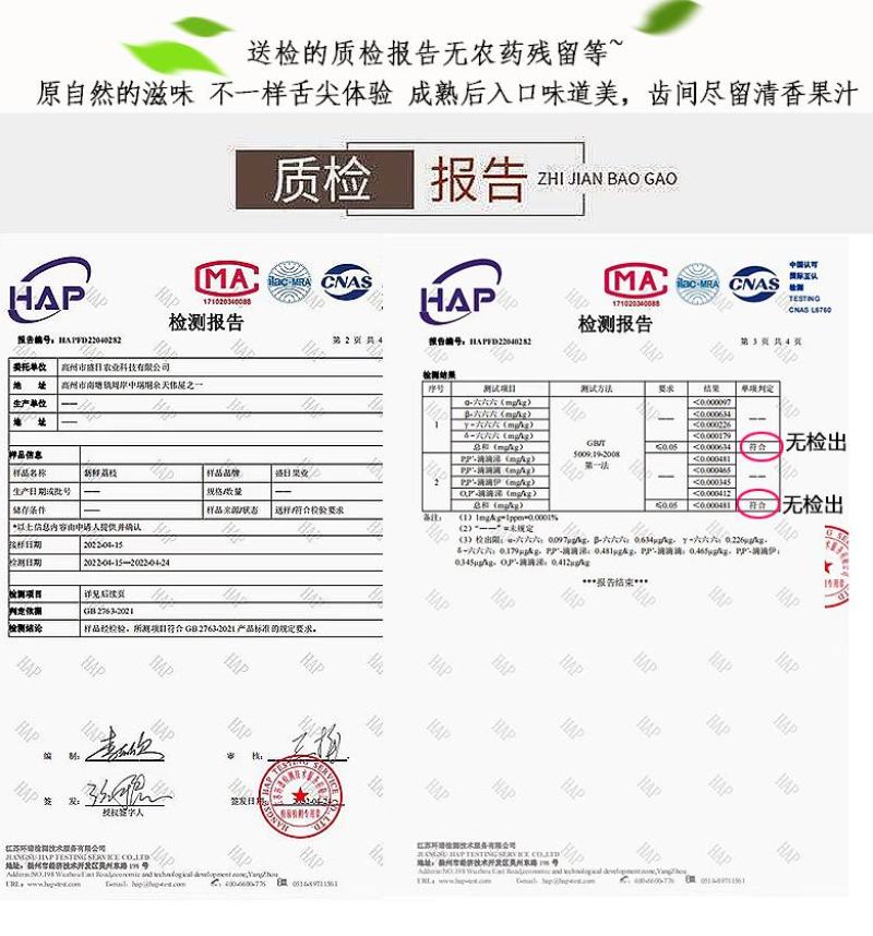 广东高州妃子笑荔枝广东省内包邮