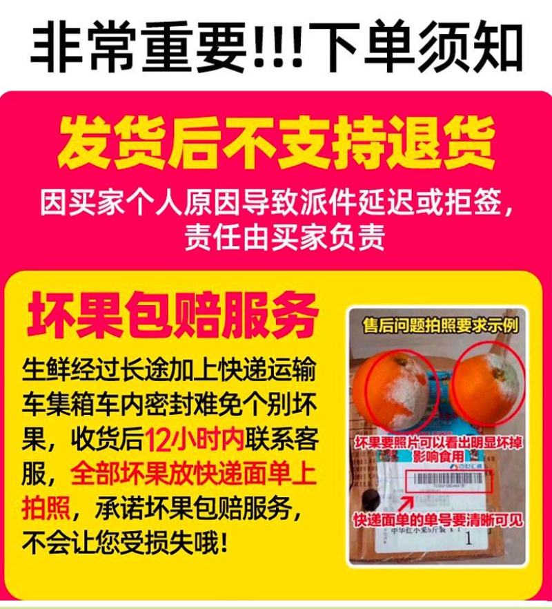广东高州妃子笑荔枝广东省内包邮