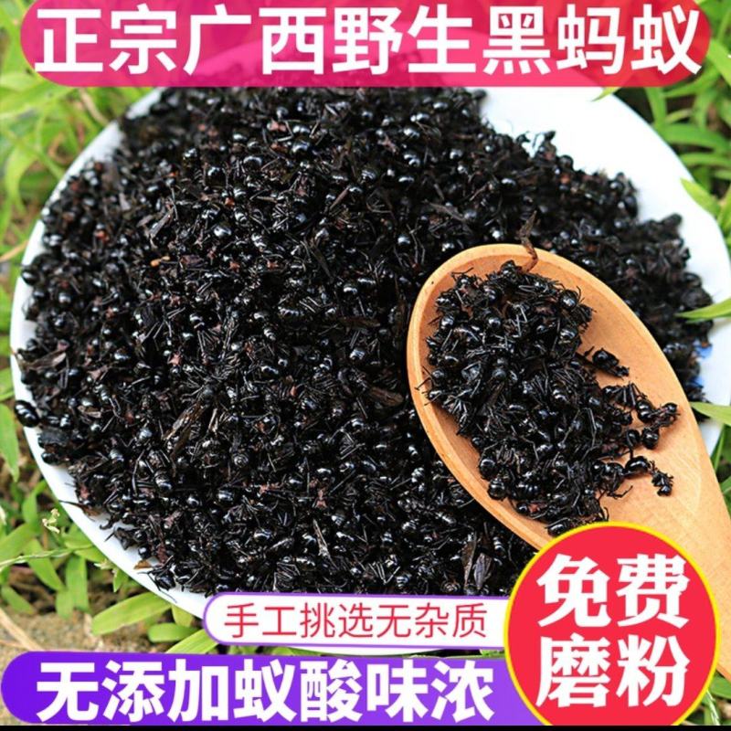黑蚂蚁规格齐全拟黑多刺黑蚂蚁泡酒黑蚂蚁中药材