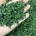厂家直供2025新茶特级安溪铁观音品质茶叶高山兰花香批发