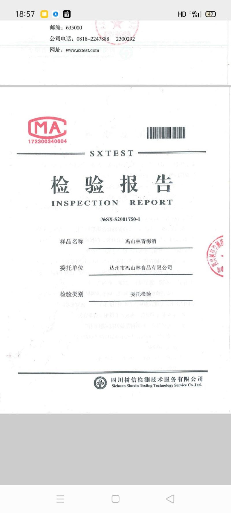 优质四川青梅酒，厂家直供，全国发货，保质保量，可视频看货