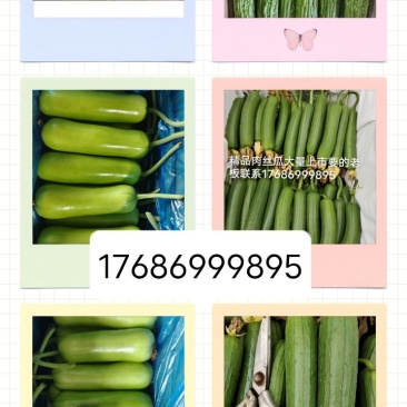 寻找长期合作的老板