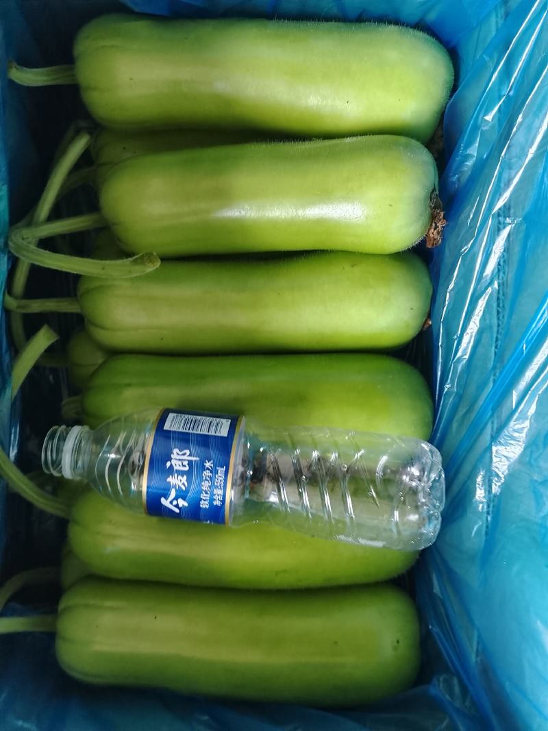 寻找长期合作的老板