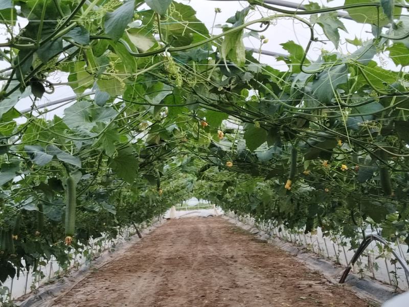 寻找长期合作的老板