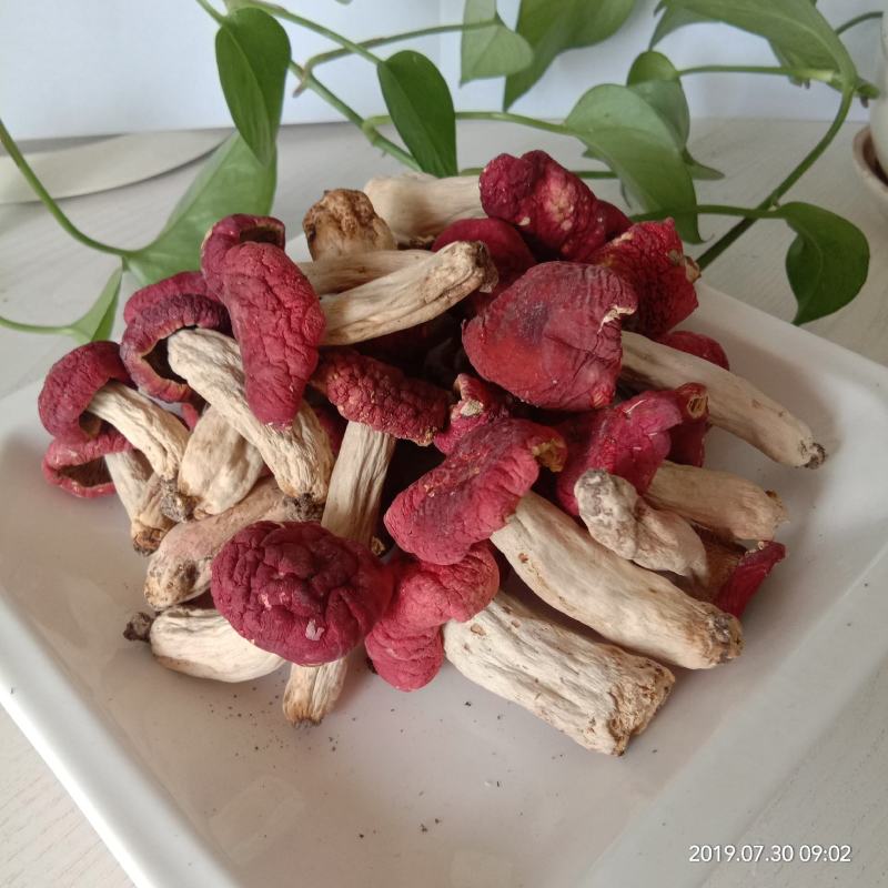 野生小红菇，干红菌