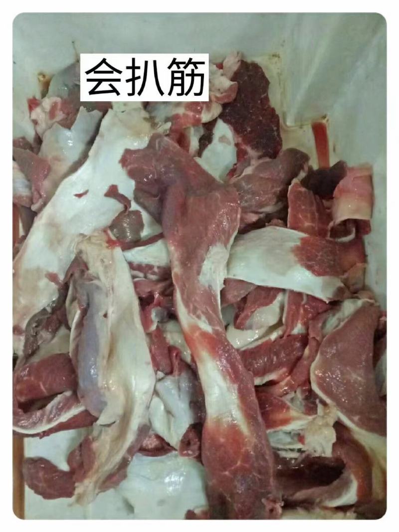 牛羊肉