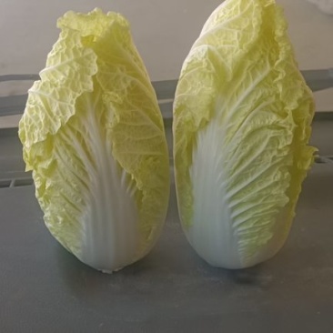 大娃娃菜
