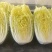 大娃娃菜