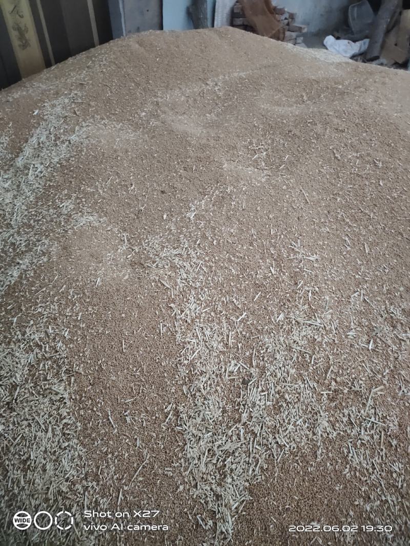 小麦销售