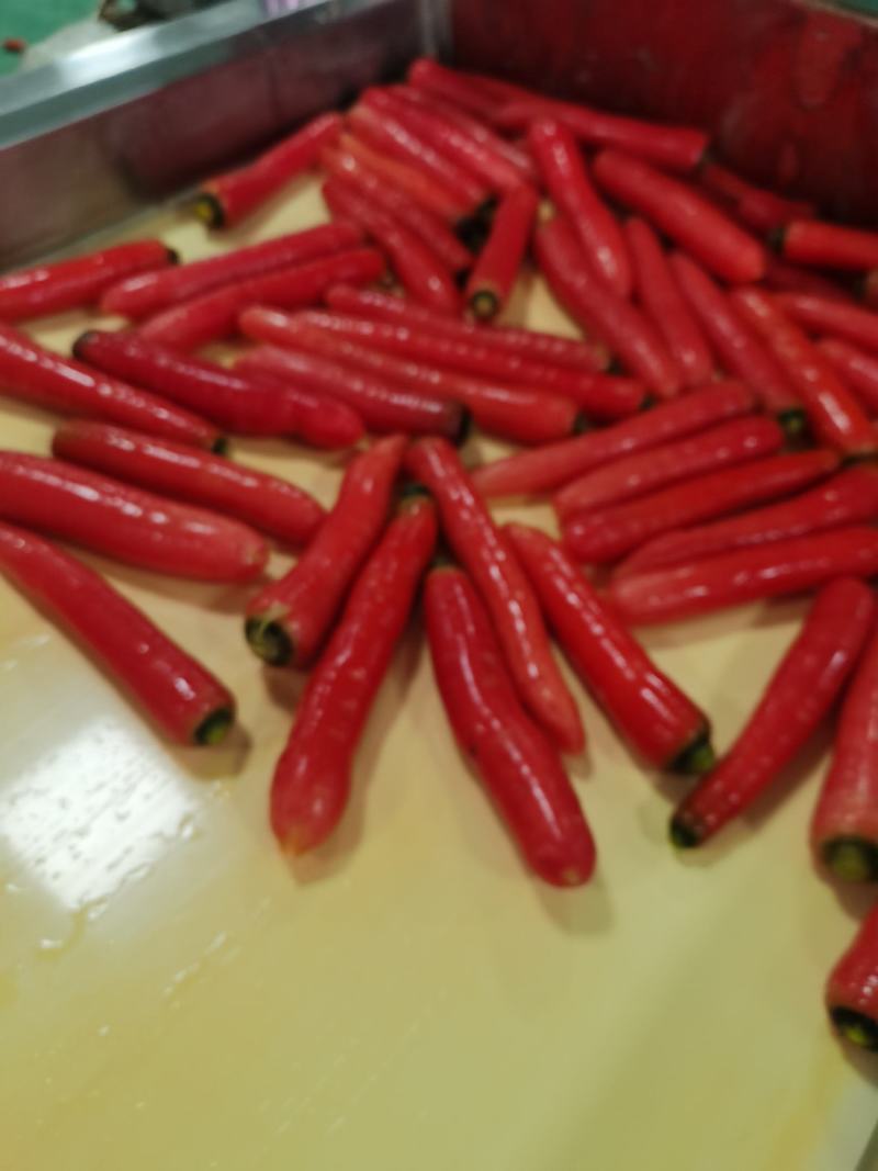 水果红萝卜、肉脆汁多。