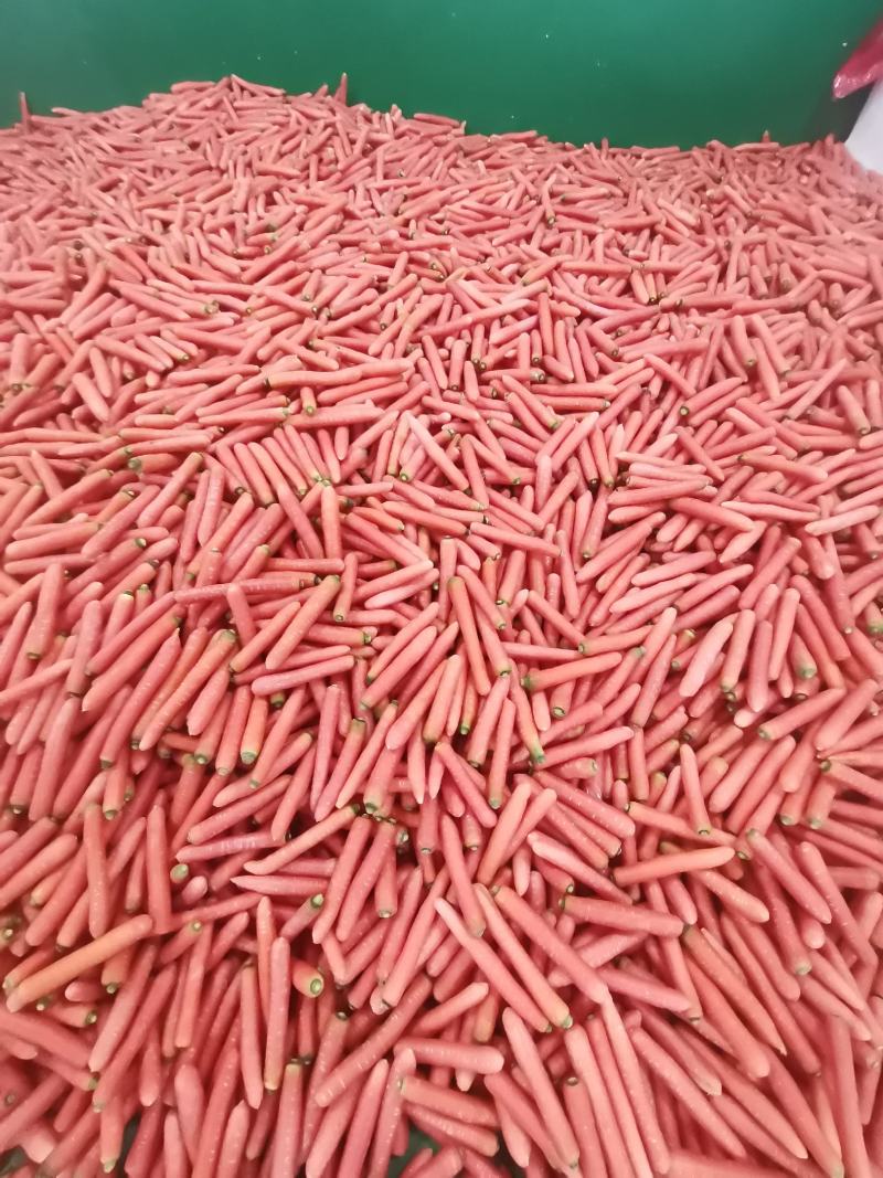 水果红萝卜、肉脆汁多。