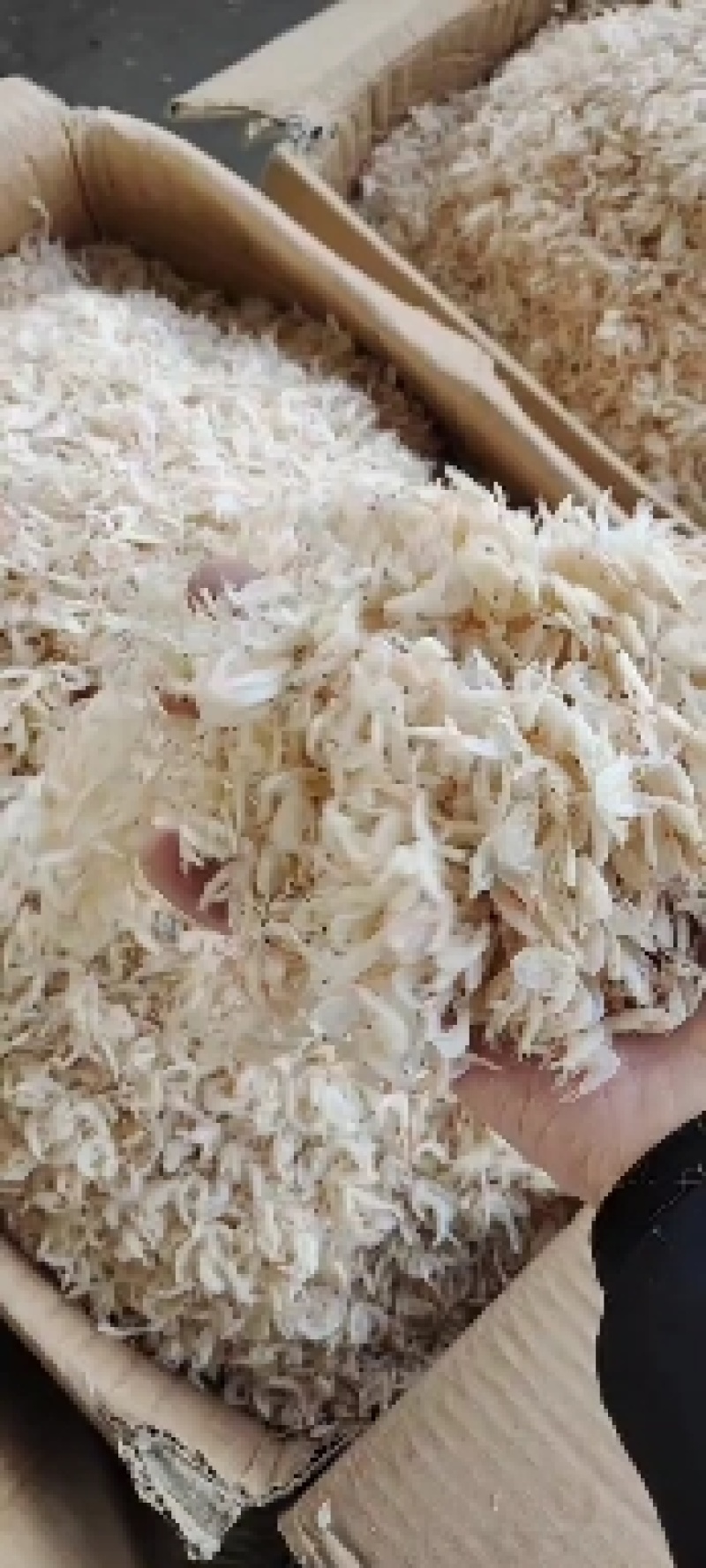 淡干无盐虾皮，现货批发，价格实惠欢迎洽谈