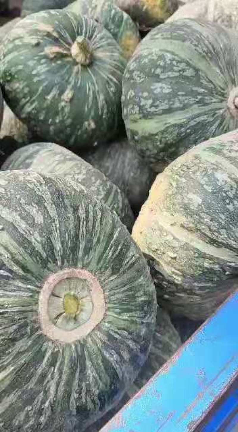 板栗南瓜，甜栗南瓜，大量上市！口感甜，面！产地直发，货源