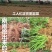 现挖红根宽叶韭菜根苗四季种子种籽子阳台苗紫根盆栽籽种小叶