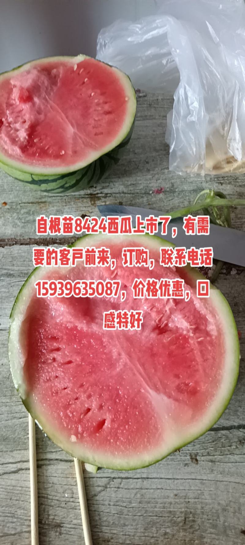 西瓜甜瓜，辣椒
