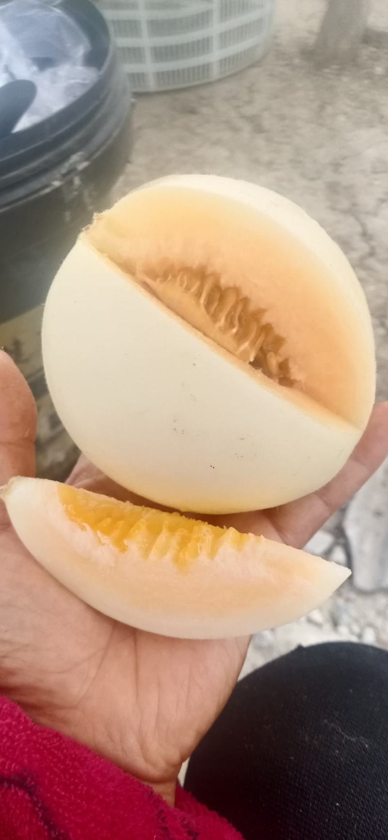 西瓜甜瓜，辣椒