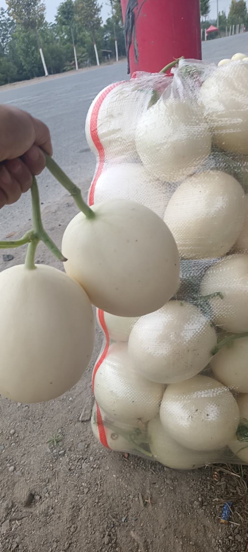 西瓜甜瓜，辣椒